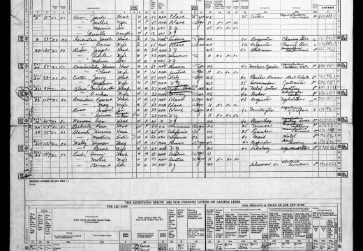 Menhard Klein And Erika Klein 1950 Census