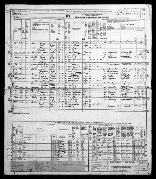 Menhard Klein And Erika Klein 1950 Census.jpeg